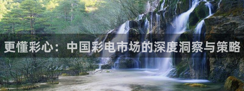 尊龙时凯人生就是搏官网登录：更懂彩心：中国彩电市场的深度洞察与策略