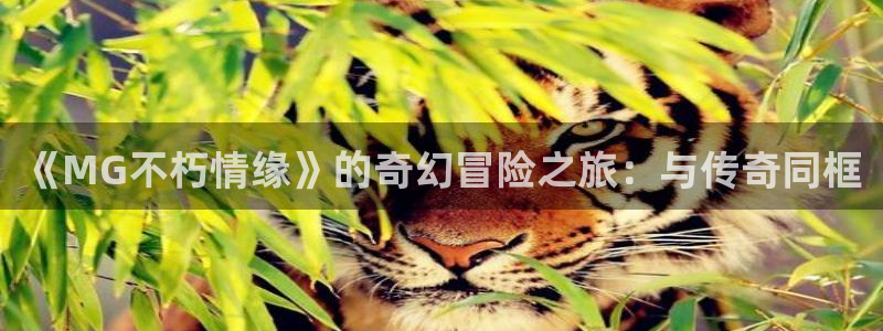 尊龙凯时人生就是搏官网：《MG不朽情缘》的奇幻冒险之旅：与传奇同框