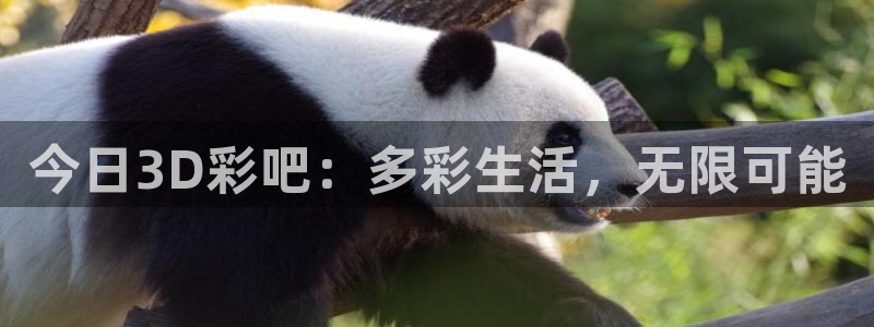 尊龙凯时人生就是搏免费观看：今日3D彩吧：多彩生活，无限可能