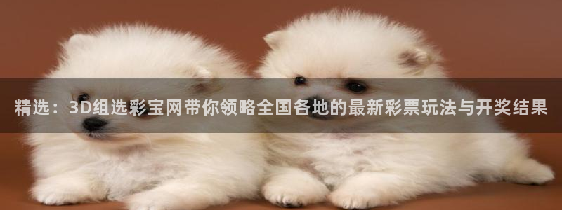 pa 尊龙凯时 - 人生就是搏!：精选：3D组选彩宝网带你领略全国各地的最新彩票玩法与开奖结果