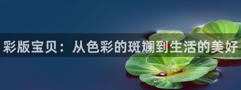 尊龙时凯人生就是搏官网：彩版宝贝：从色彩的斑斓到生活的美好