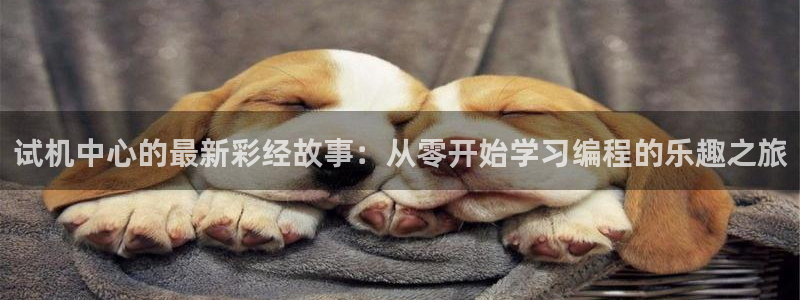 尊龙时凯人生就是搏：试机中心的最新彩经故事：从零开始学习编程的乐趣之旅